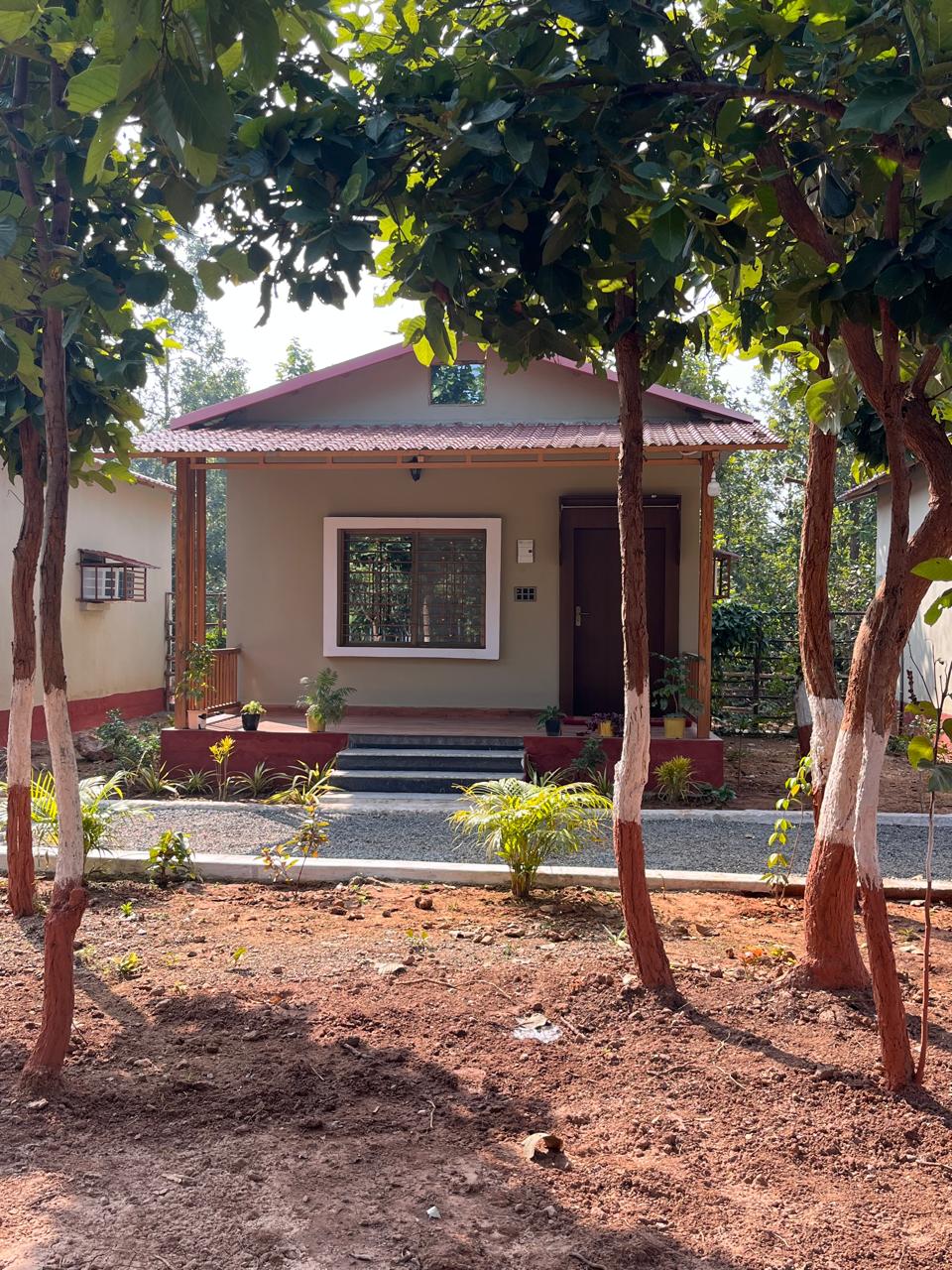 Luxury resort pool with palm trees at sunset